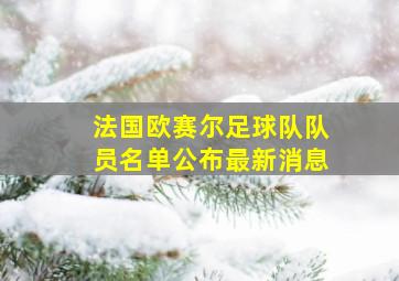 法国欧赛尔足球队队员名单公布最新消息