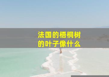 法国的梧桐树的叶子像什么