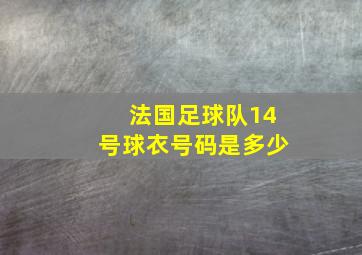 法国足球队14号球衣号码是多少