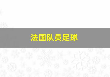 法国队员足球