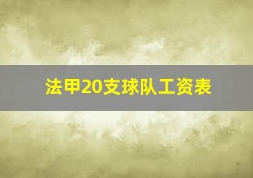 法甲20支球队工资表