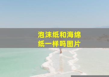 泡沫纸和海绵纸一样吗图片