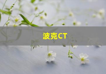 波克CT