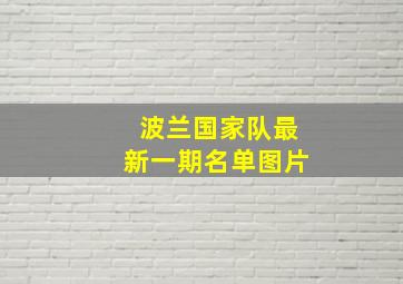 波兰国家队最新一期名单图片