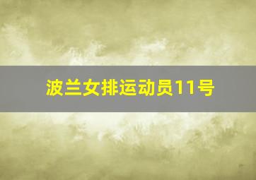 波兰女排运动员11号