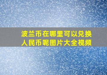 波兰币在哪里可以兑换人民币呢图片大全视频