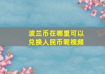 波兰币在哪里可以兑换人民币呢视频