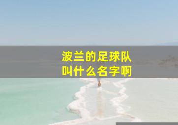 波兰的足球队叫什么名字啊