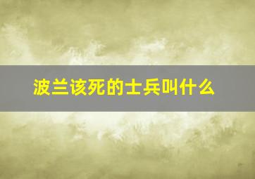 波兰该死的士兵叫什么