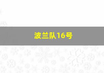 波兰队16号