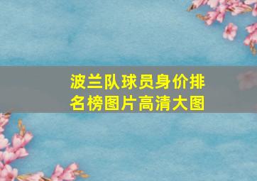 波兰队球员身价排名榜图片高清大图