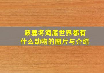 波塞冬海底世界都有什么动物的图片与介绍