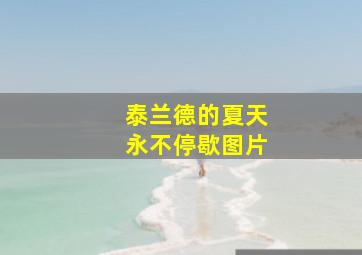 泰兰德的夏天永不停歇图片