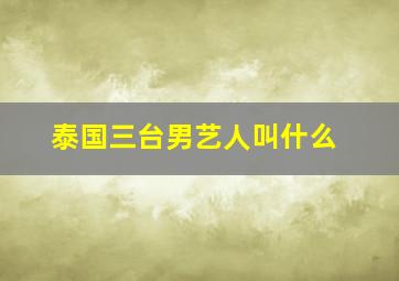 泰国三台男艺人叫什么