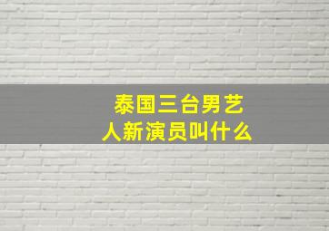 泰国三台男艺人新演员叫什么