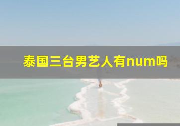 泰国三台男艺人有num吗