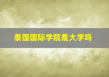 泰国国际学院是大学吗