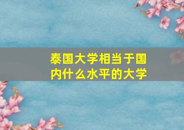 泰国大学相当于国内什么水平的大学