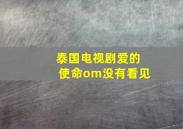 泰国电视剧爱的使命om没有看见