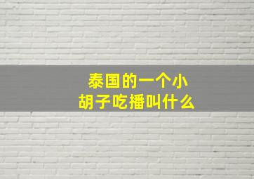 泰国的一个小胡子吃播叫什么