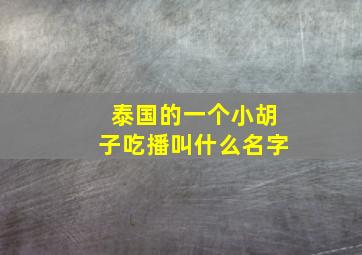 泰国的一个小胡子吃播叫什么名字