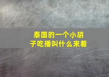 泰国的一个小胡子吃播叫什么来着