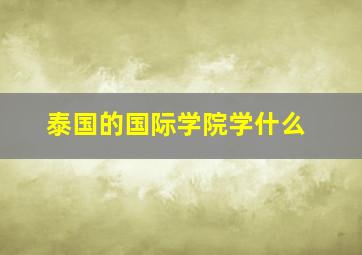 泰国的国际学院学什么