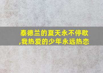 泰德兰的夏天永不停歇,我热爱的少年永远热恋