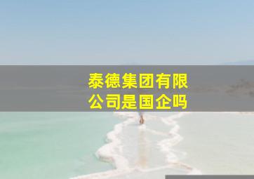 泰德集团有限公司是国企吗