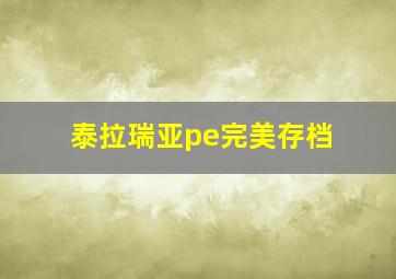 泰拉瑞亚pe完美存档