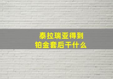 泰拉瑞亚得到铂金套后干什么