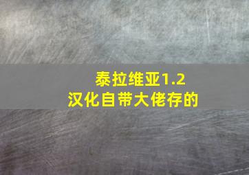 泰拉维亚1.2汉化自带大佬存的