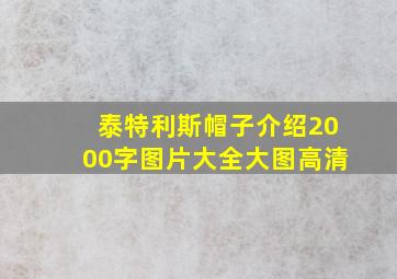 泰特利斯帽子介绍2000字图片大全大图高清