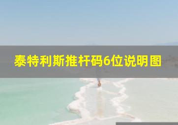 泰特利斯推杆码6位说明图