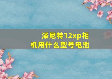 泽尼特12xp相机用什么型号电池