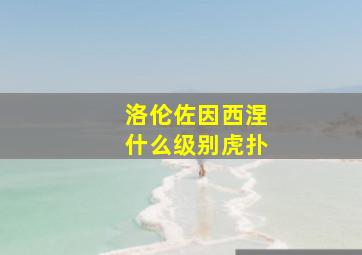 洛伦佐因西涅什么级别虎扑