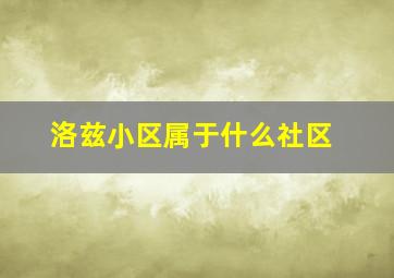 洛兹小区属于什么社区