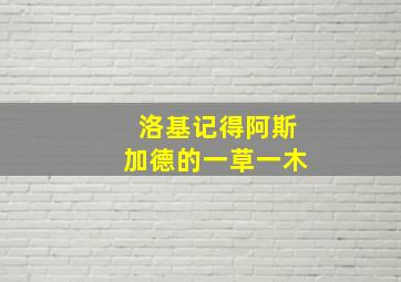 洛基记得阿斯加德的一草一木