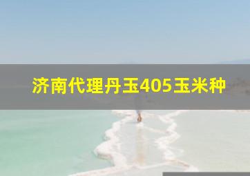 济南代理丹玉405玉米种