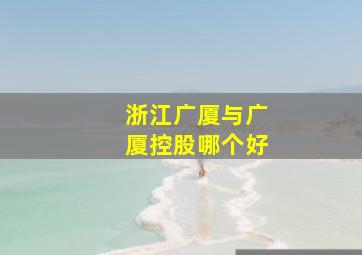 浙江广厦与广厦控股哪个好