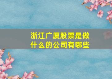 浙江广厦股票是做什么的公司有哪些