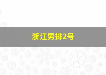 浙江男排2号