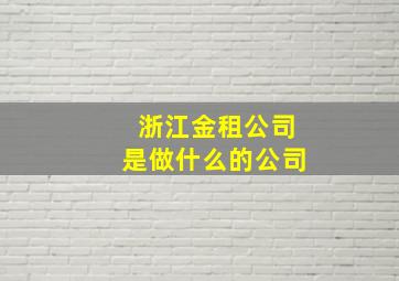 浙江金租公司是做什么的公司