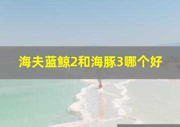 海夫蓝鲸2和海豚3哪个好