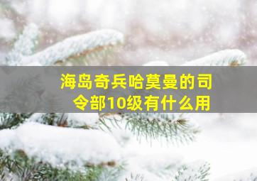 海岛奇兵哈莫曼的司令部10级有什么用