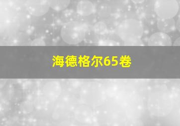 海德格尔65卷