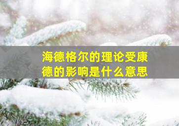 海德格尔的理论受康德的影响是什么意思