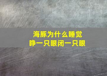 海豚为什么睡觉睁一只眼闭一只眼