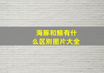 海豚和鲸有什么区别图片大全