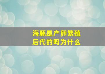 海豚是产卵繁殖后代的吗为什么